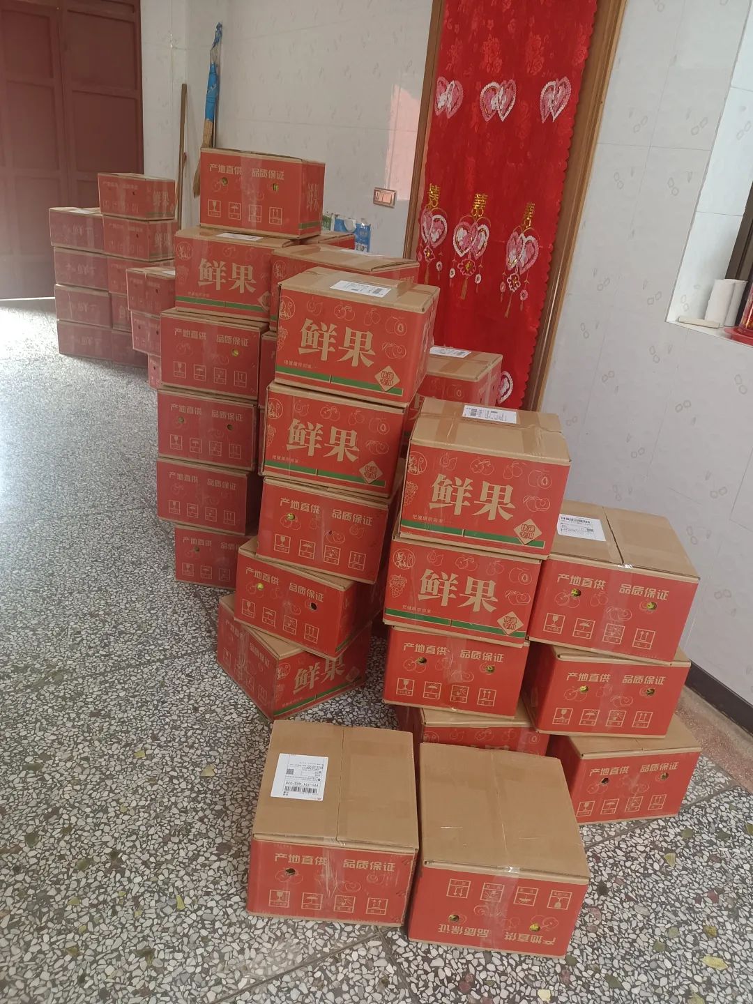 陕西红富士下树！5.9元一斤，真正的苹果界的扛把子！不打蜡，果香浓郁，脆甜多汁！