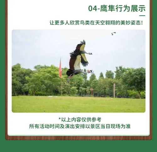 留莞也好玩！东莞香市动物园「亲子票」优惠限时返场！