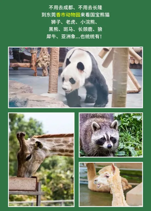 留莞也好玩！东莞香市动物园「亲子票」优惠限时返场！
