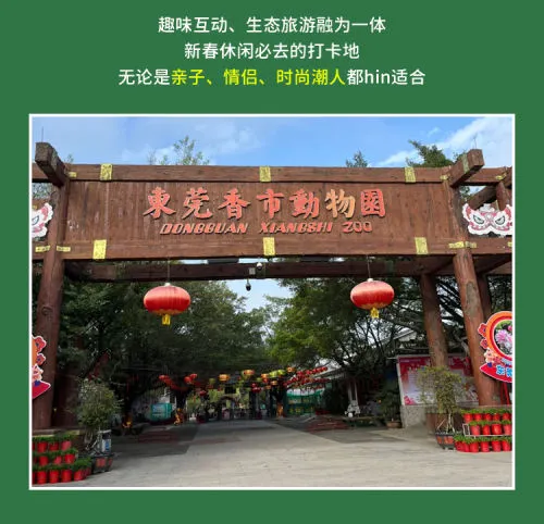 留莞也好玩！东莞香市动物园「亲子票」优惠限时返场！