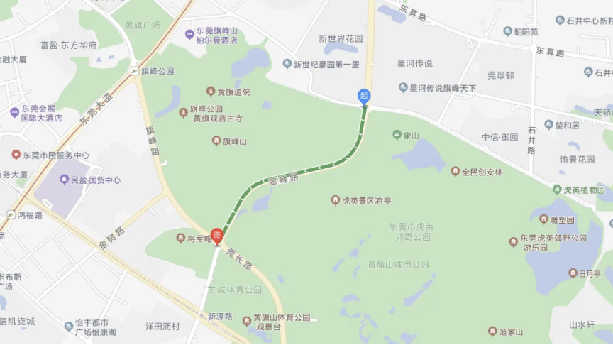 除夕夜！东莞近一半人将会挤爆这里！注意交通出行！