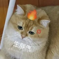 东莞打工人天塌了！上班20min变1h！