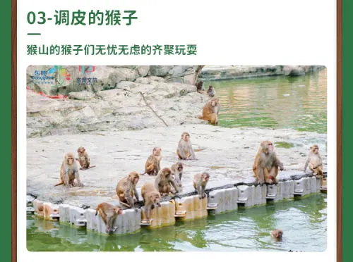 留莞也好玩！东莞香市动物园「亲子票」优惠限时返场！