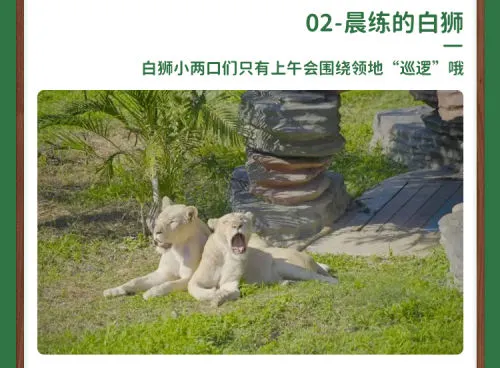 留莞也好玩！东莞香市动物园「亲子票」优惠限时返场！