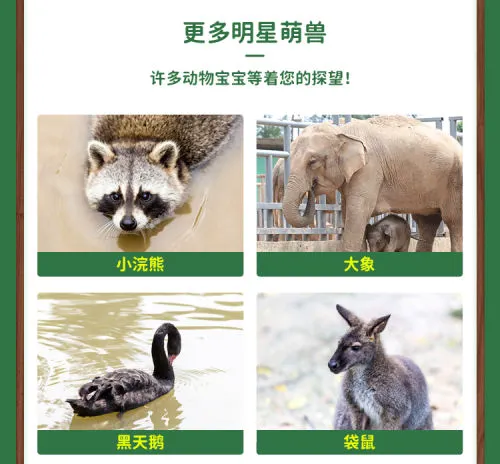 留莞也好玩！东莞香市动物园「亲子票」优惠限时返场！