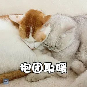 双预警生效！东莞将降温！降雨！还有8级大风……