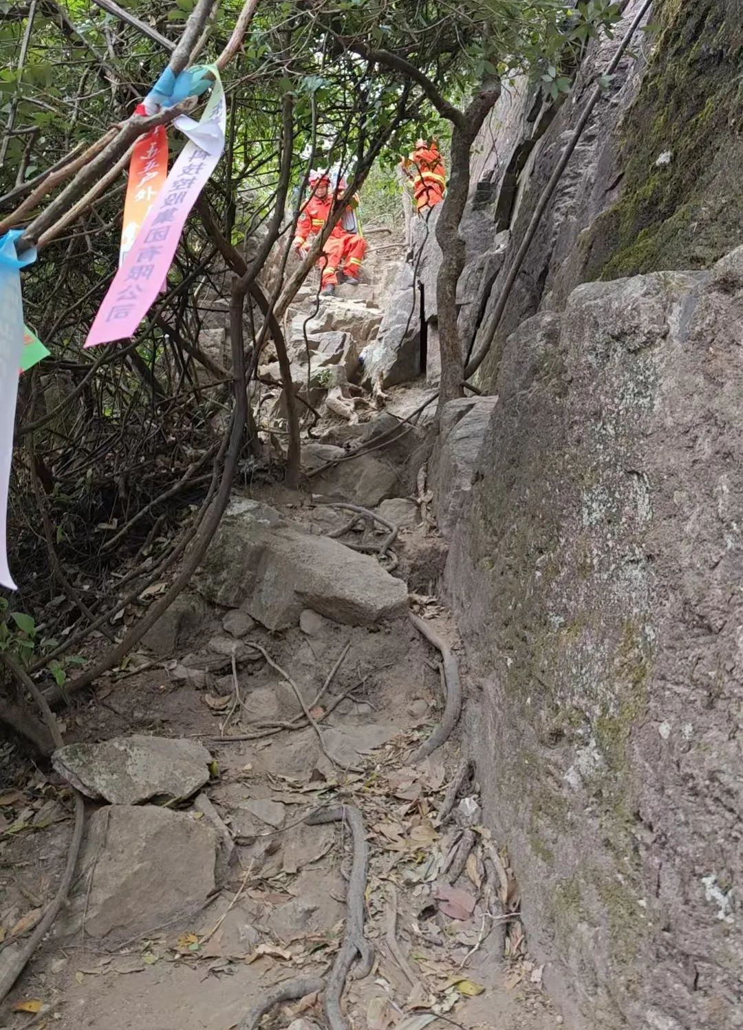 东莞一10岁男孩坠崖！