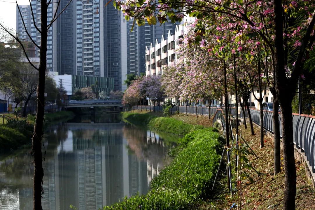 地铁1号线跨过的"童话世界"您骑行过吗？