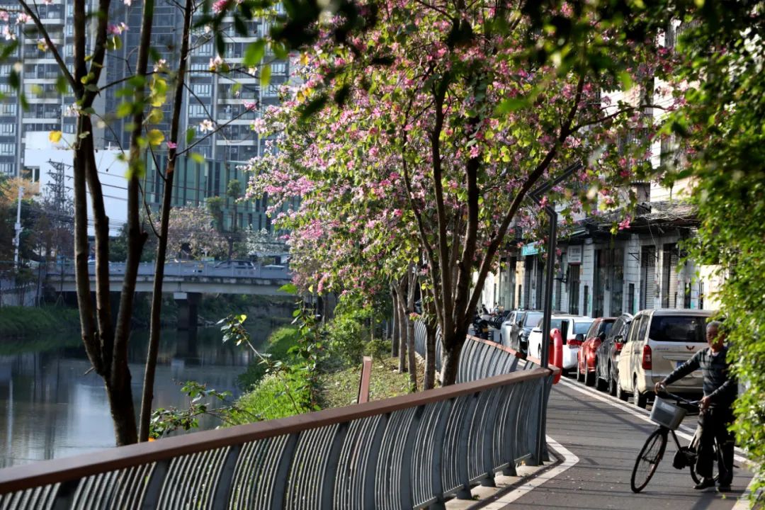 地铁1号线跨过的"童话世界"您骑行过吗？