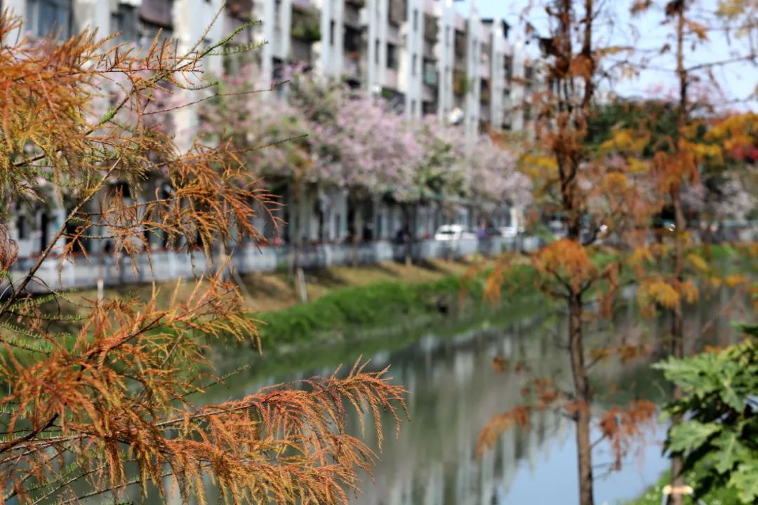 地铁1号线跨过的"童话世界"您骑行过吗？