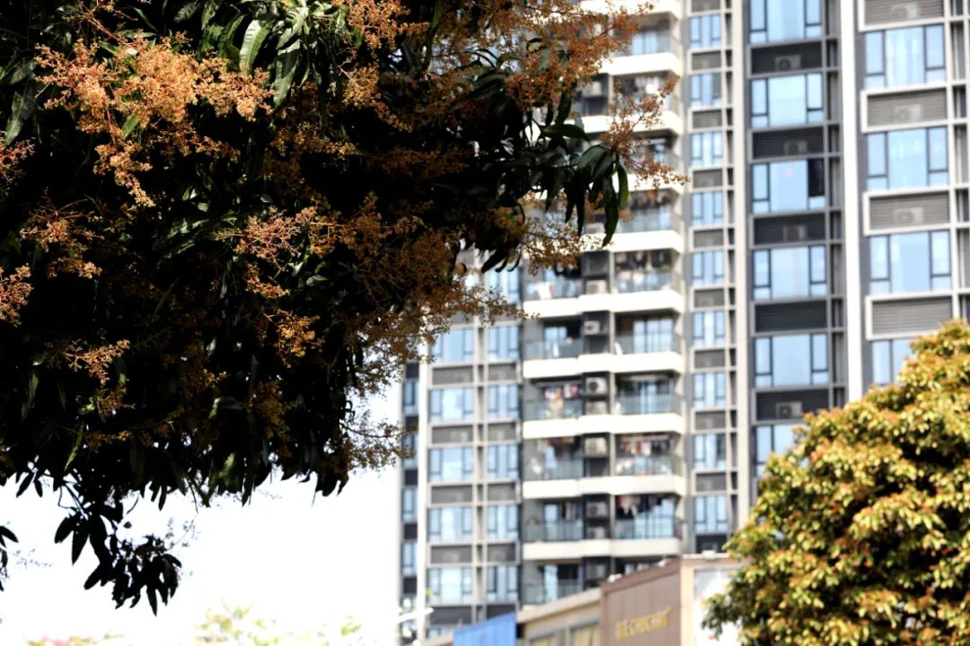 地铁1号线跨过的"童话世界"您骑行过吗？