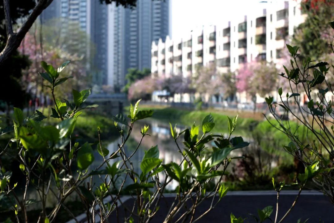 地铁1号线跨过的"童话世界"您骑行过吗？