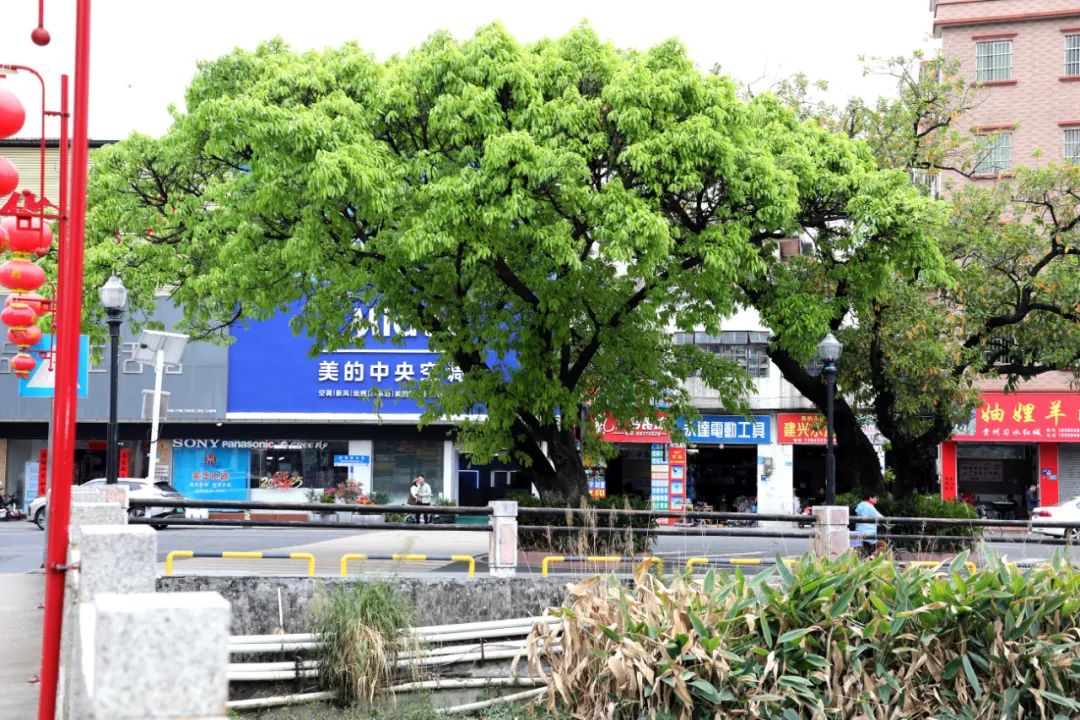 地铁1号线跨过的"童话世界"您骑行过吗？