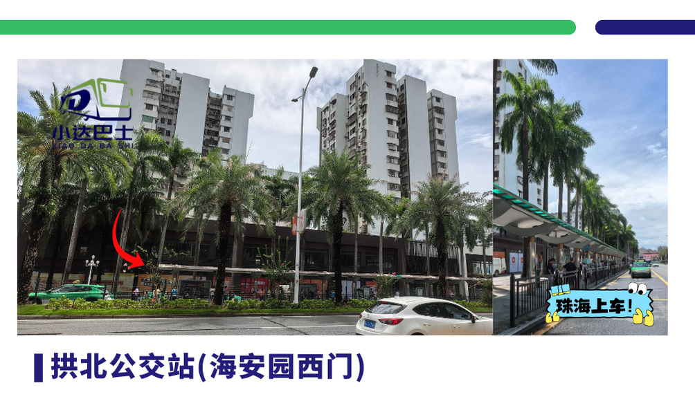 紧急通知！小达巴士杀疯了！东莞⇌珠海澳门1元直达