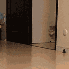 深圳交通_20250807_111247.gif