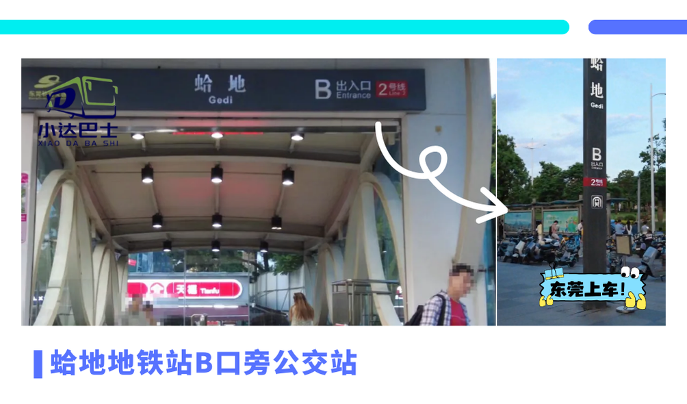 紧急通知！小达巴士杀疯了！东莞⇌珠海澳门1元直达