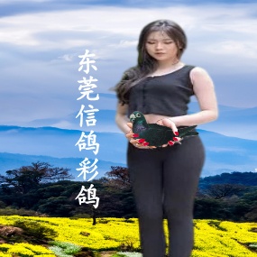 东莞信鸽桥头站